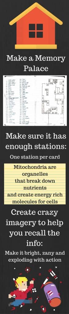 How to Memorize Textbooks Infographic 2