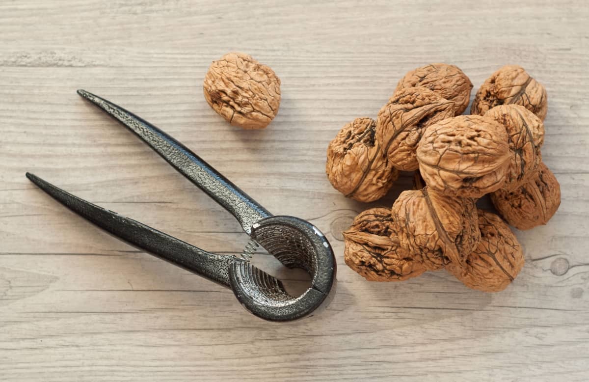 Image of walnuts which are beneficial for memory