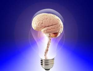 Image of a brain in a lightbulb to express having an integrated memory method
