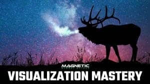 Visualization Mastery Course in the Magnetic Memory Method Masterclass