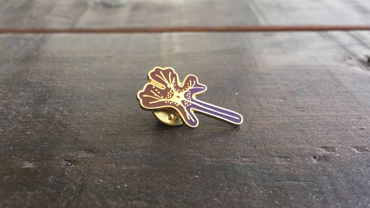 Warrior of the Mind Pin