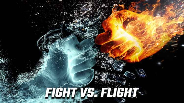 Image of a fist of ice and a fist of fire to illustrate the fight vs flight problem in memory palace training