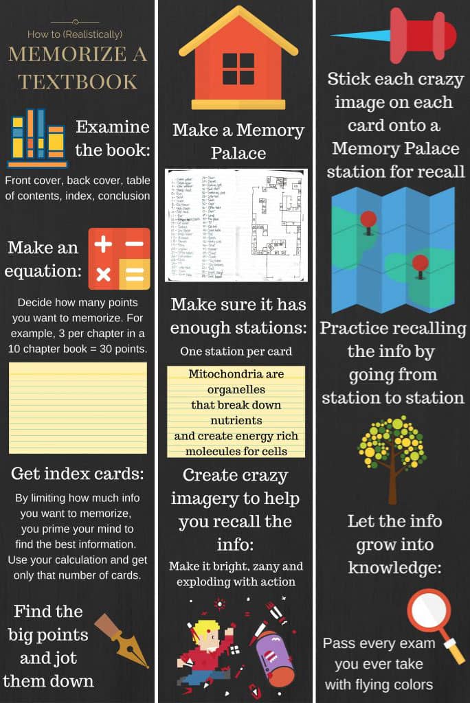 how to memorize a textbook infographic