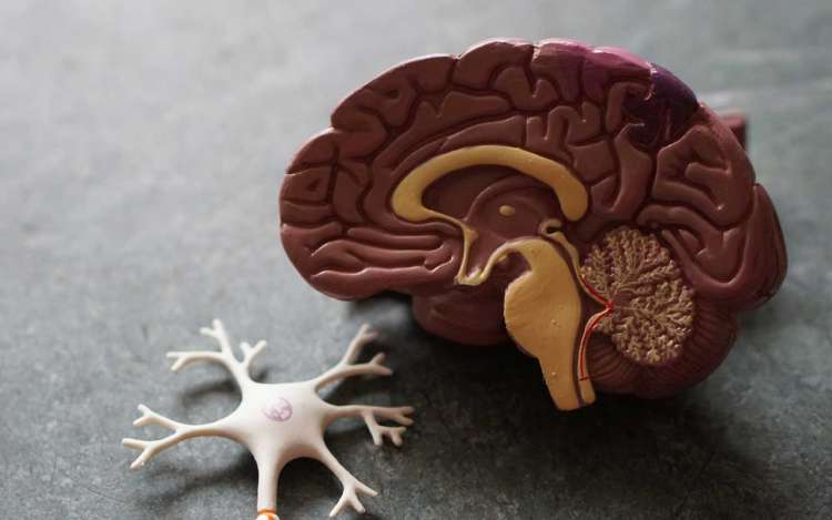Best Games for Your Brain