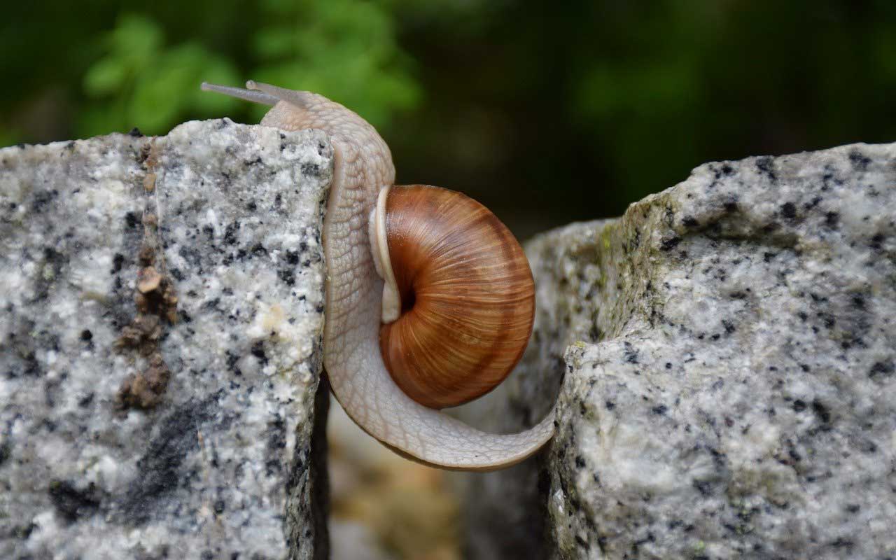 what does mental strength mean