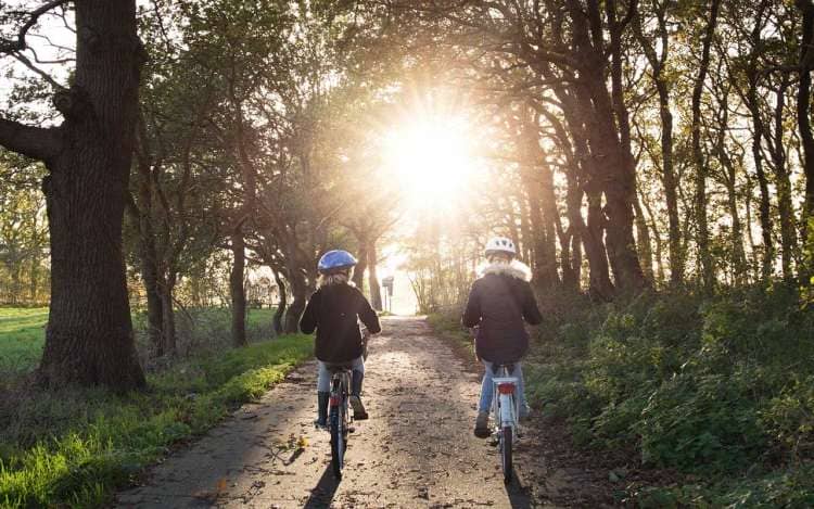 Two children ride their bikes into the setting sun in a forested area.