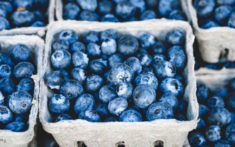 A container of blueberries, a brain superfood and a good addition to a sattvic diet.