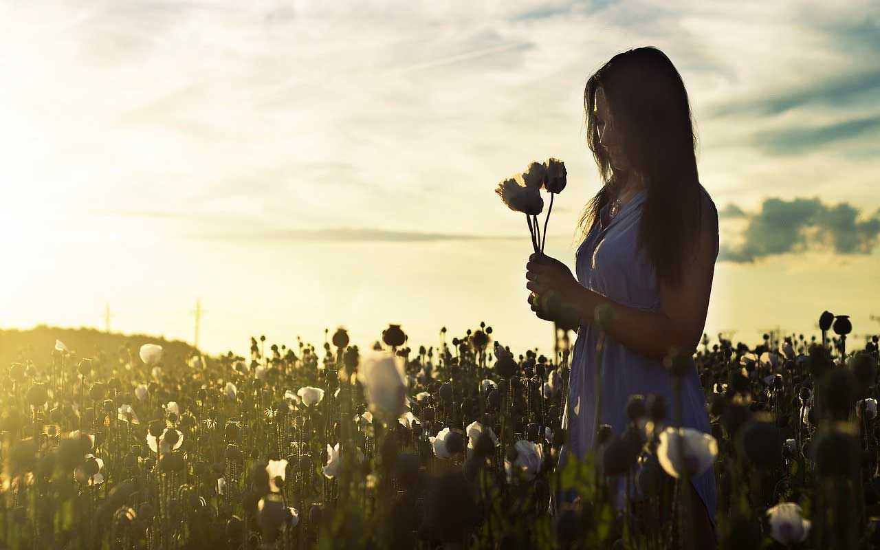 A woman in a field, holding a bouquet of wildflowers.