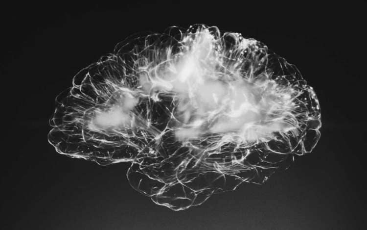 A black and white image of a brain. Autoimmune Encephalitis and other memory disorders can have powerful negative impacts on the brain.