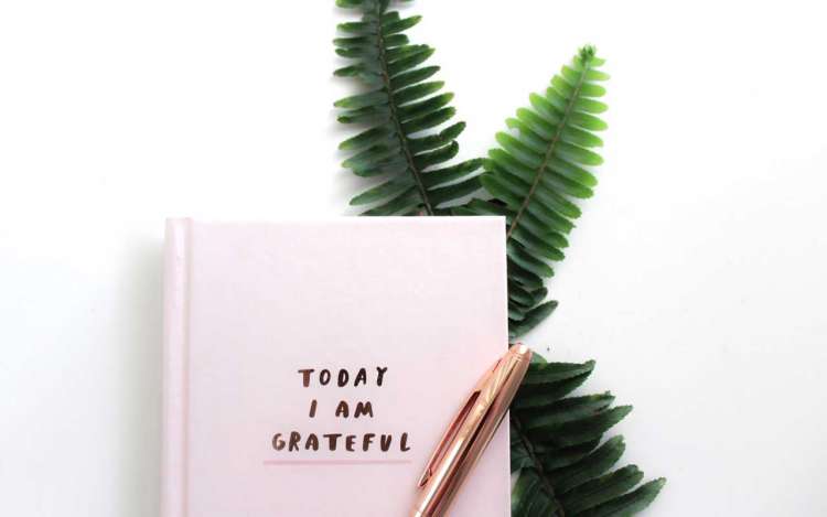 A gratitude journal on top of fern leaves. The journal cover reads, "Today I am grateful."