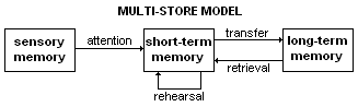 The Multi Store Model of Memory
