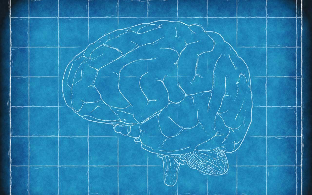 A sketch of a brain set against a blueprint background.