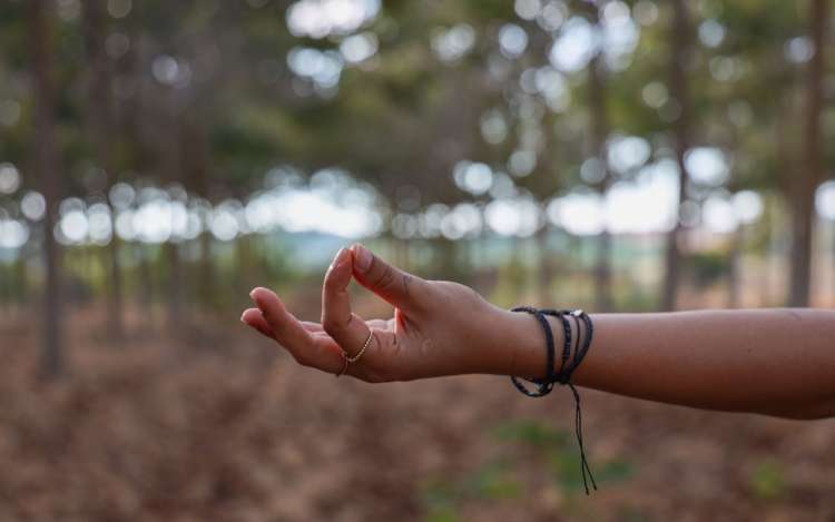 A person's hand creating a mudra with thumb and first finger connected and palm up, against the background of a forest.