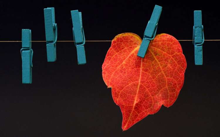 A red autumn leaf clipped on a wire with clothespins, an example of an associative image.