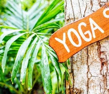 Yoga for Concentration and Memory: Everything You Need to Know