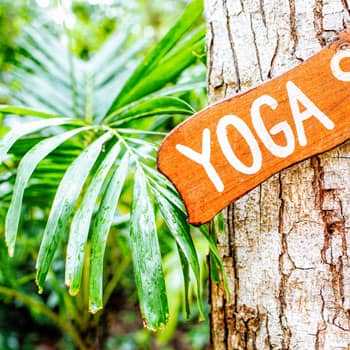 Yoga for Concentration and Memory: Everything You Need to Know