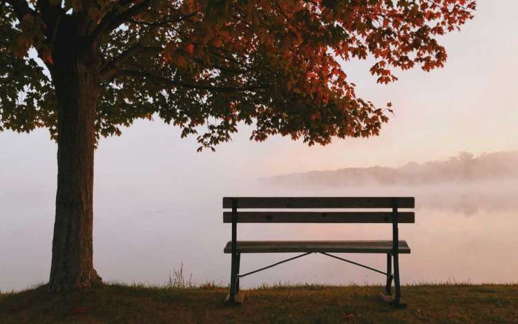 A bench under a tree looks over a foggy lake. This setting is much like a guided visualization I used before defending my dissertation.