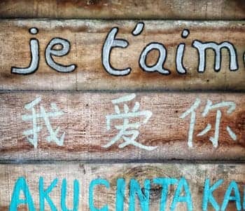How to Become Fluent in a Language: Everything You Need to Know