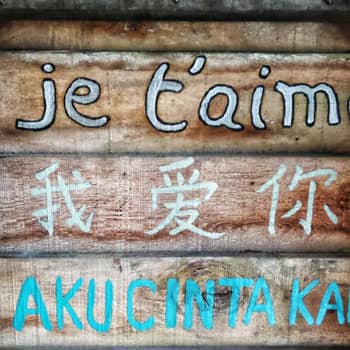 How to Become Fluent in a Language: Everything You Need to Know