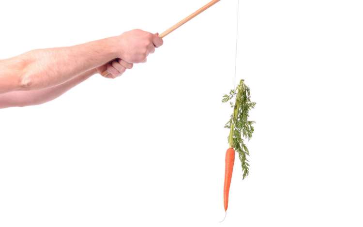 A person holds up a stick with a carrot tied to it. Carrot and stick motivation is a form of extrinsic motivation.