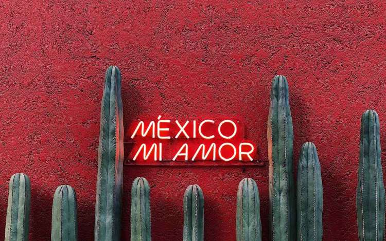 A neon sign against a bright red painted wall with cacti reads, "Mexico Mi Amor." Spanish is a top business language.