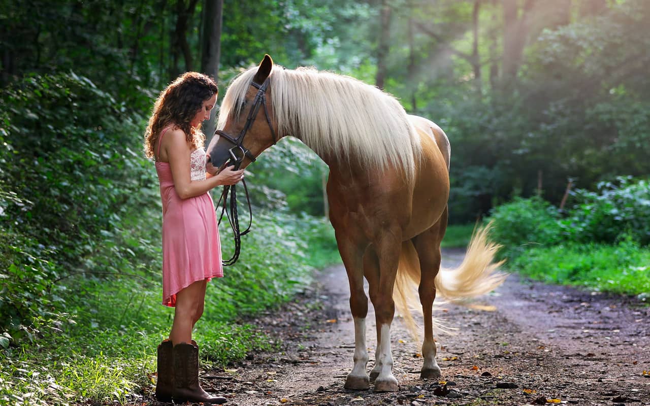 Horses song. Хобби лошади и природа. Мир глазами лошади. 2 Лошади на природе.