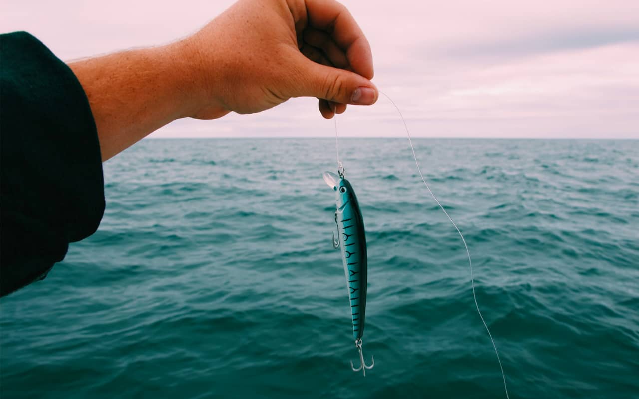 a hand is holding a fish