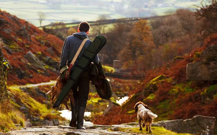 a man and a dog hunt a bird