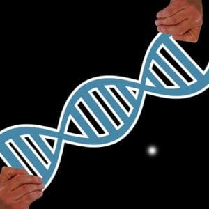 amino acids feature image