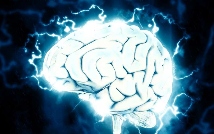 brain electrical activities