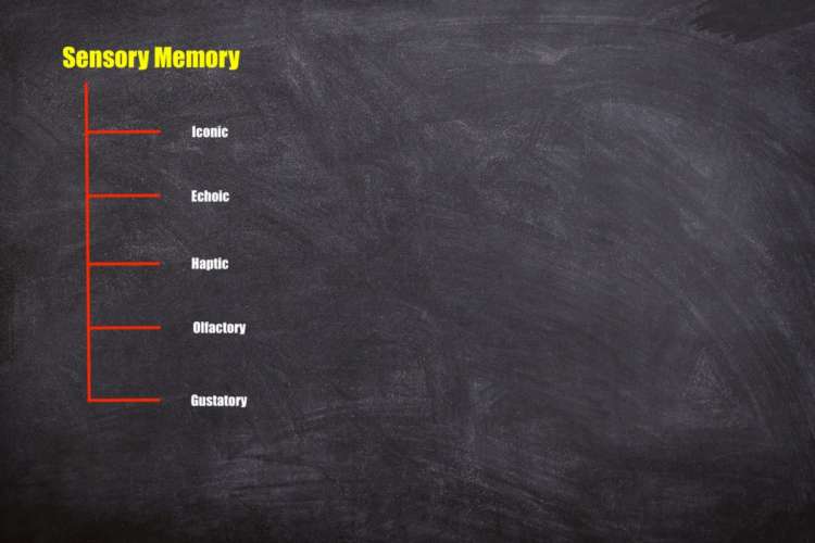 sensory memory subtypes