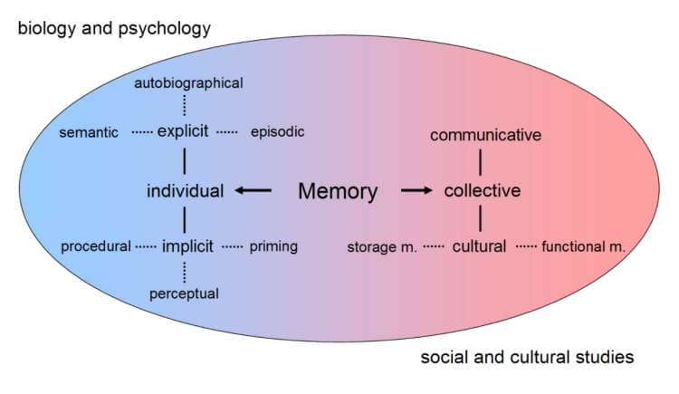memory are laid out differently by different disciplines