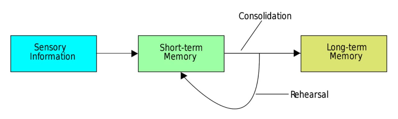 process that transfers short term memory into long term memory
