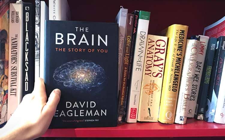 the brain the story of you