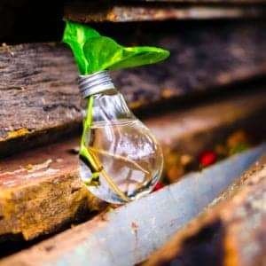 critical thinking exercises that actually improve your mind feature image