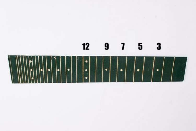 fretboard with dots