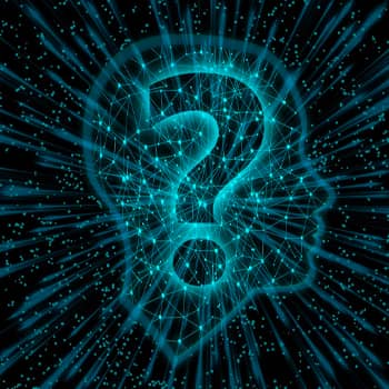 Questioning Everything feature image