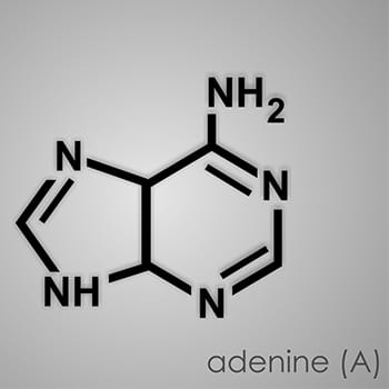 Difference Between Purine and Pyrimidine Synthesis | Compare the Difference  Between Similar Terms