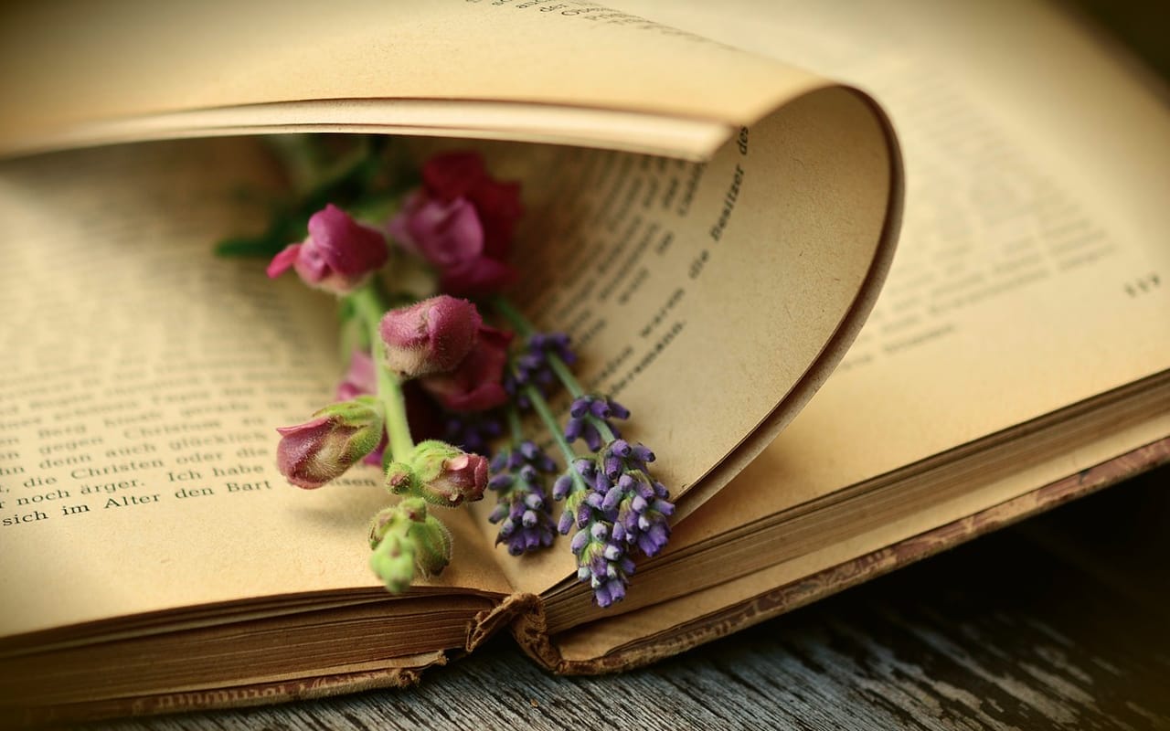 old book with flowers