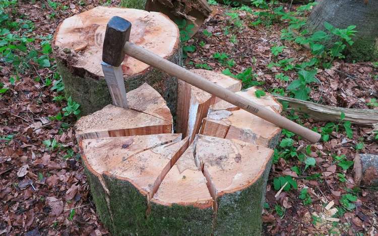 wood wedge segments