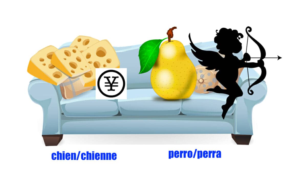 learn spanish and french at the same time mnemonic example