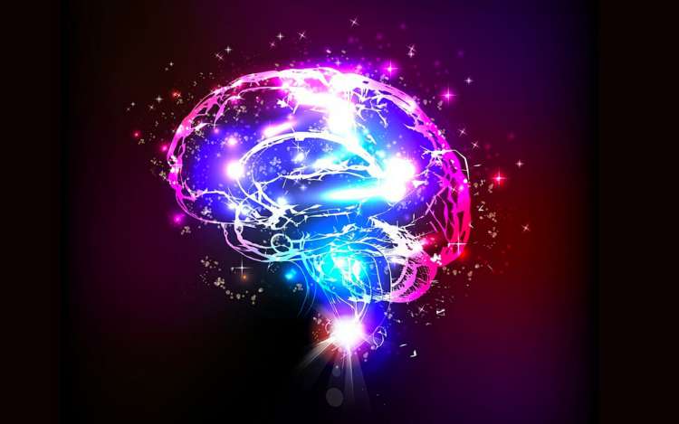 neuro lights in a brain