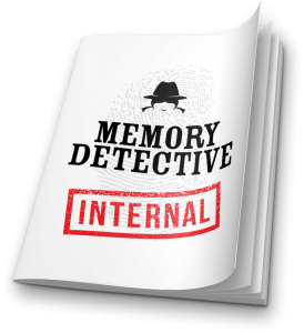 Memory Detective Internal Game Guide