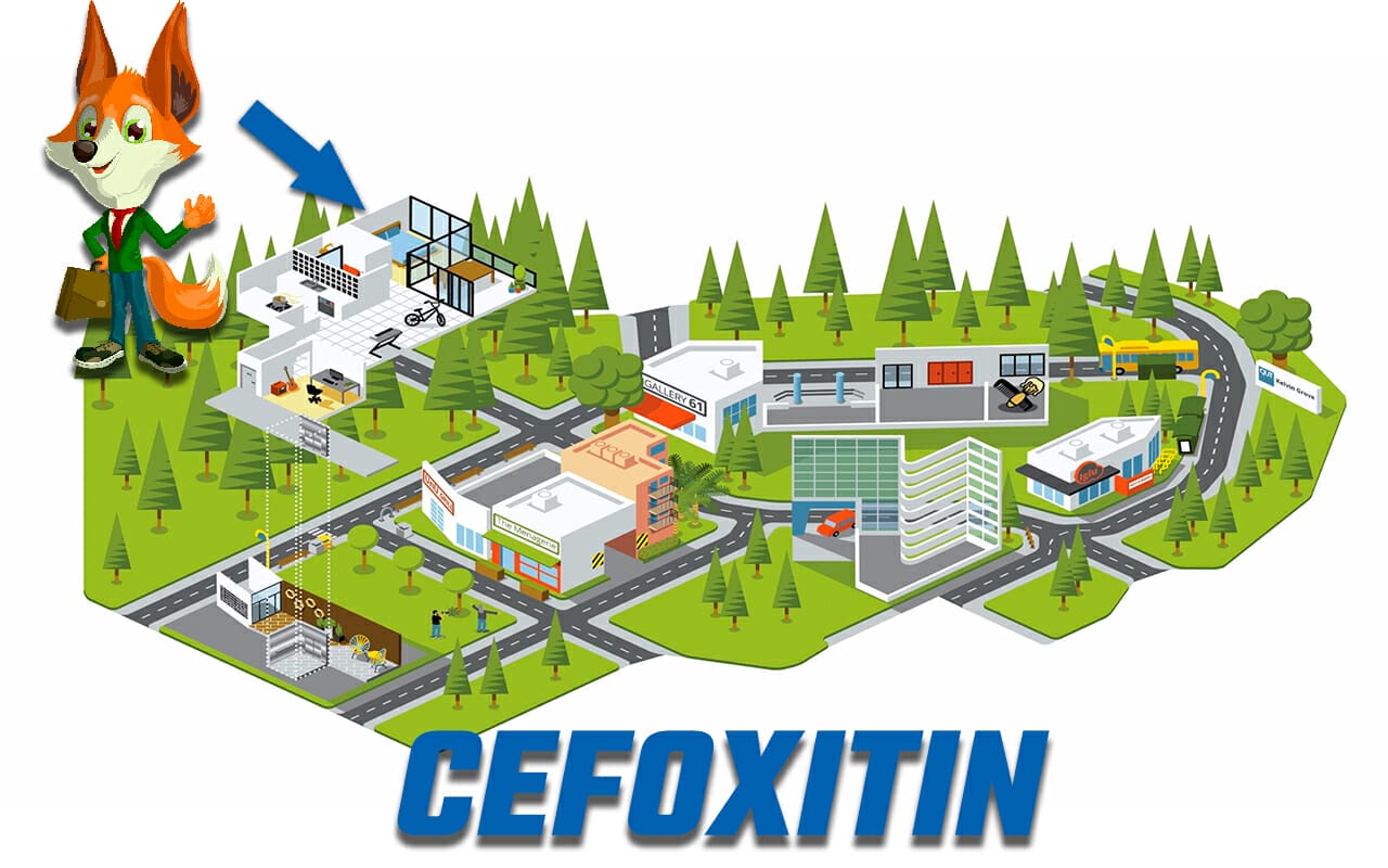 How to Remember Cephalosporin Generations: 15 Easy Mnemonics