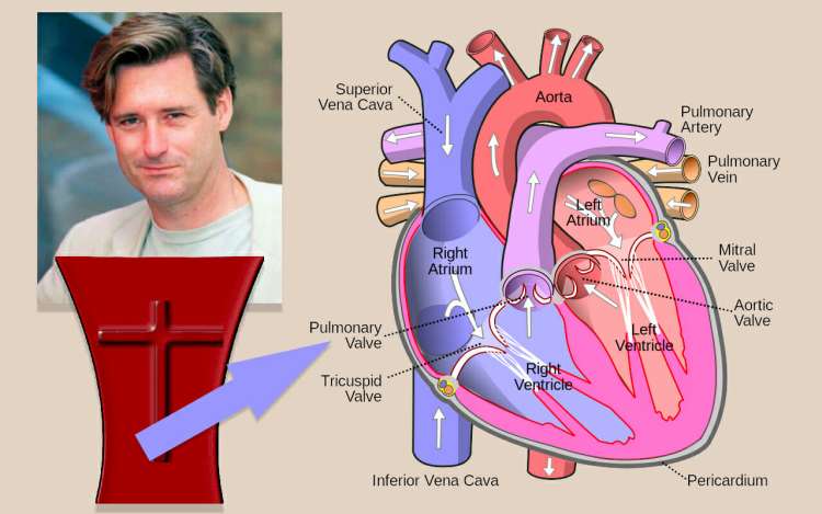 mnemonic example for the pulmonary valve using Bill Pullman at the pulpit