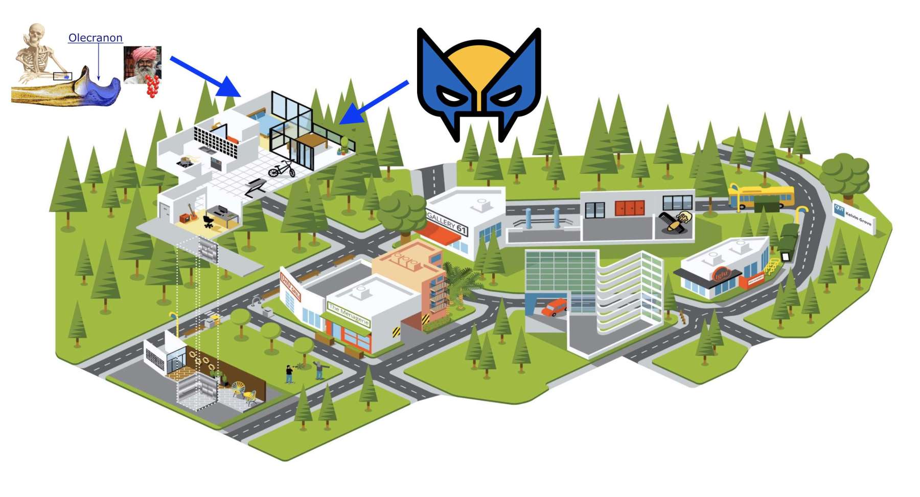How to Remember Ulna and Radius: The Best 3 Bone Mnemonics