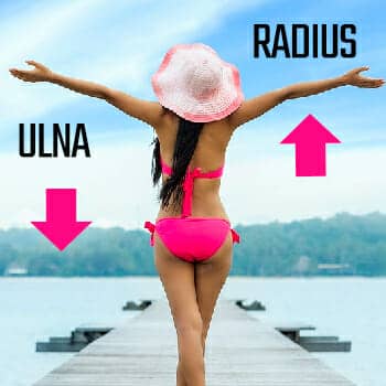 how to remember ulna and radius feature image of a woman holding her hands to the sky to illustrate a principle in anatomy mnemonics