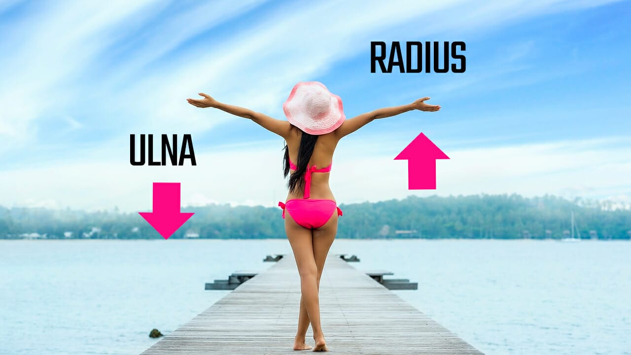 How to Remember Ulna and Radius The Best 3 Bone Mnemonics