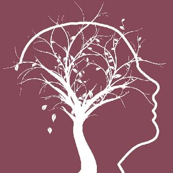 memory science feature image of a human head fused with a growing tree